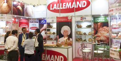 Fusionarte stand sistema octagonal